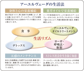 アーユルヴェーダ なれれ 日常と季節の過ごし方