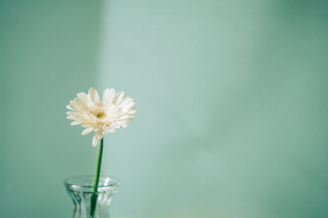 one flower on the desk