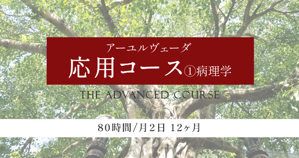 アーユルヴェーダ応用コース